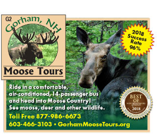 Moose Tours