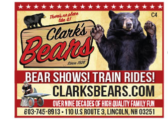 Clarks Bears