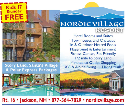 Nordic Village 
