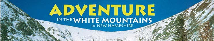 Banner to the Adventure in the White Mountains map and guide website